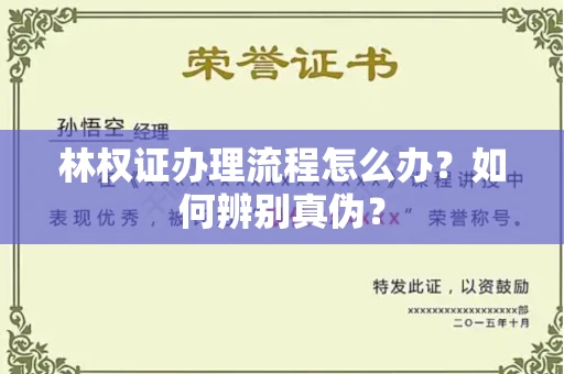 全国林权证办理流程怎么办?如何辨别真伪?