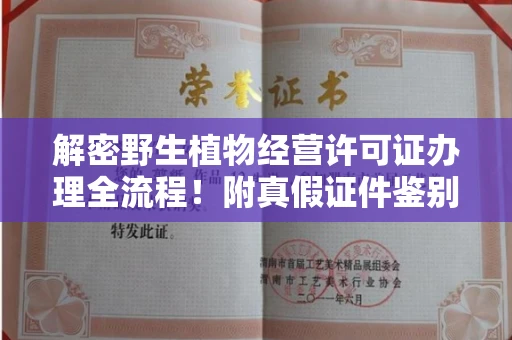全国解密野生植物经营许可证办理全流程!附真假证件鉴别方法