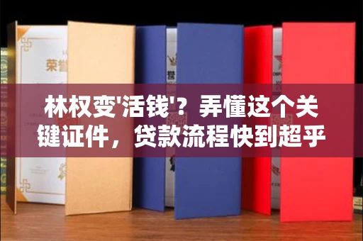 全国林权变'活钱'?弄懂这个关键证件,贷款流程快到超乎想象!